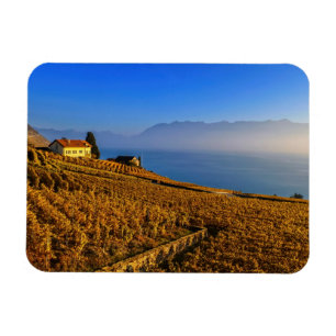 Ímã Região de Lavaux, Vaud, suiça