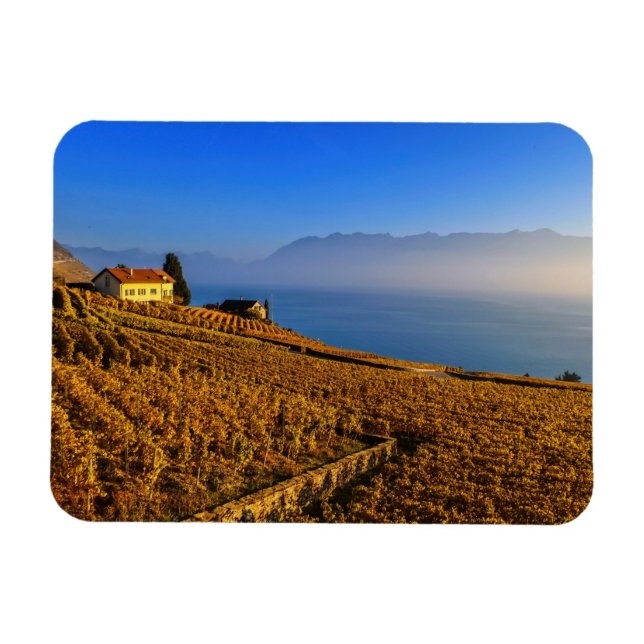Ímã Região de Lavaux, Vaud, Suiça (Horizontal)