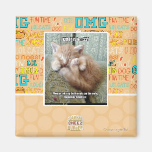 Imã Regra #231 de Kitteh