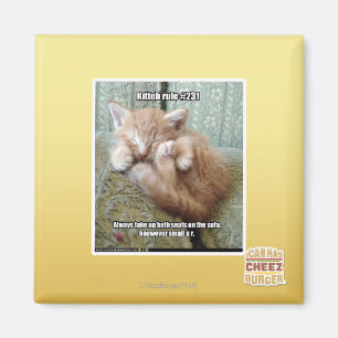 Imã Regra #231 de Kitteh