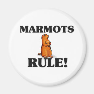 Imã Regra das MARMOTA!