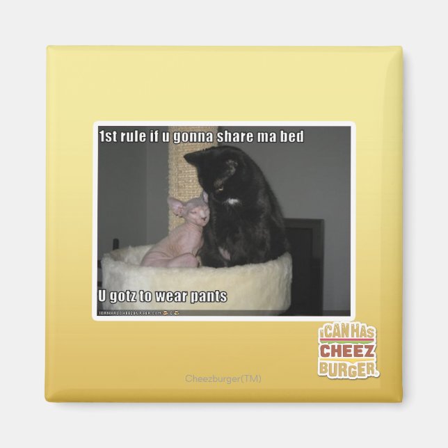 Imã Regra de 1rua se você vai compartilhar a base do m (Frente)