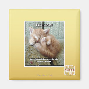 Imã Regra de Kit nº 231