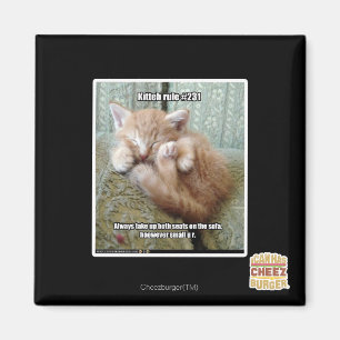 Imã Regra de Kitteh nº 231