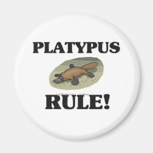 Imã Regra de PLATYPUS!