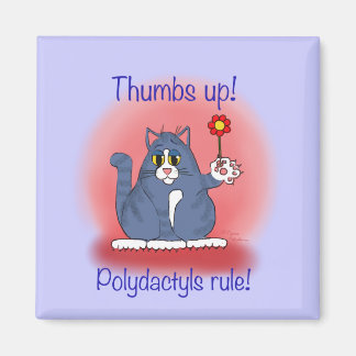 Imã Regra de Polydactils!