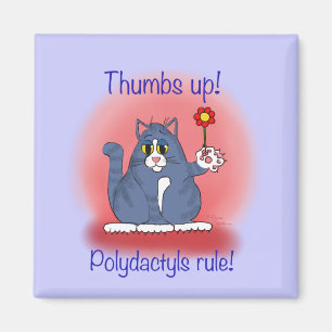Imã Regra de Polydactyls!