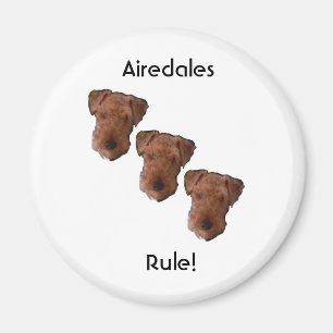 Imã Regra dos Airedales!