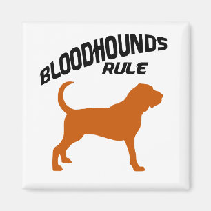 Imã Regra dos Bloodhounds