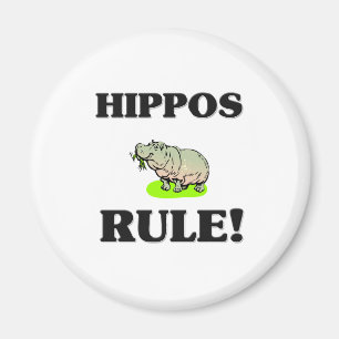 Imã Regra dos HIPOPÓTAMOS!
