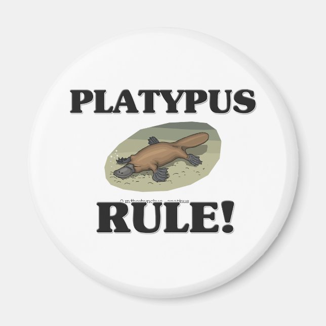 Imã Regra PLATYPUS! (Frente)