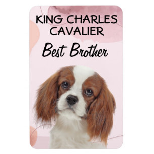 Ímã Rei Charles Cavalier Melhor Irmão