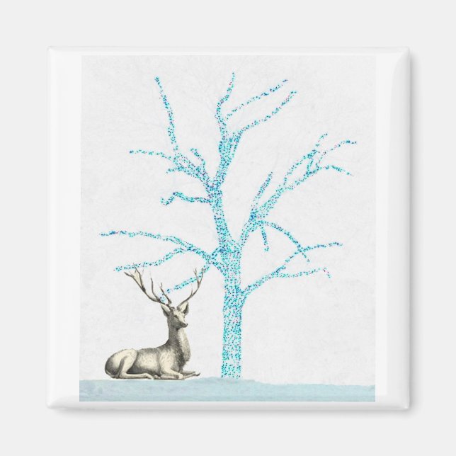 Imã Rei da Floresta (Frente)