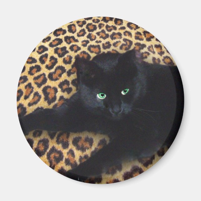 Imã Rei da Selva (Frente)