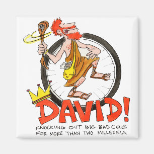 Imã Rei David Pin