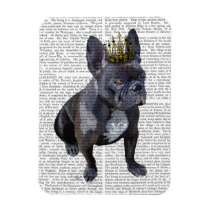 Ímã Rei do Bulldog Francês