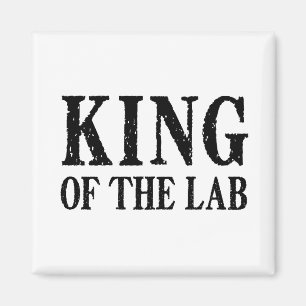 Imã Rei do laboratório - ímã