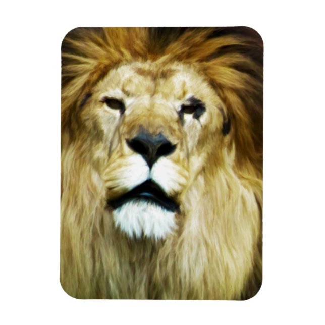 Ímã Rei Imperfeito (Vertical)