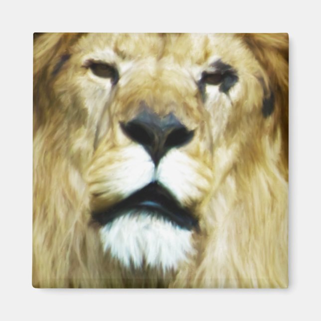 Imã Rei Imperfeito (Frente)