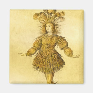 Imã Rei Louis XIV de France