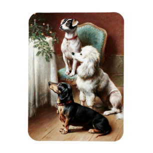 Ímã Reichert - Um Tratado de Natal, pintura,