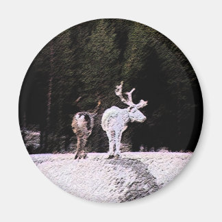 Imã Reindeer