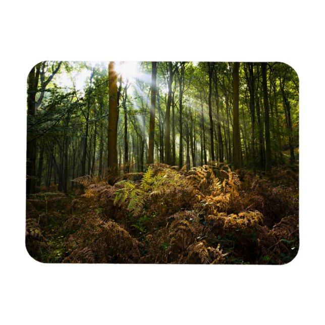 Ímã Reino Unido, Inglaterra. Raios de sol fluindo atra (Horizontal)