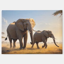 Relaxando a cena para aproveitar