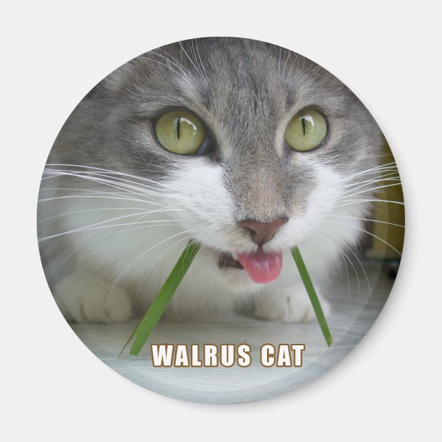 Imã Rema Magnet 011 (Frente)