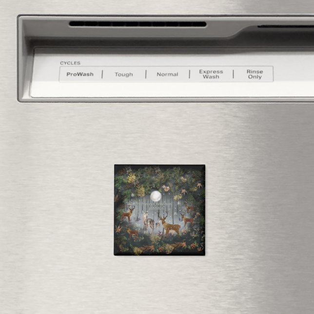 Imã Rena Adorável à Noite (In Situ (Dishwasher))