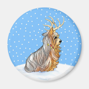 Imã Rena do Natal do yorkshire terrier
