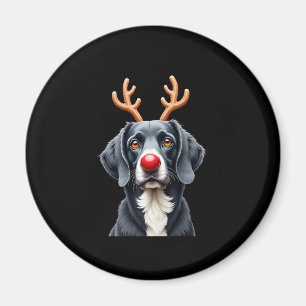 Imã Rena Grande Dinamarquês Natal Grande Dinamarquês M