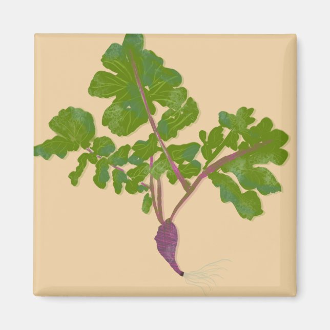 Imã Repolho Nabo Plantas Jardinagem    (Frente)