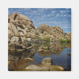 Imã Represa Barker Reflexão em Joshua Tree I