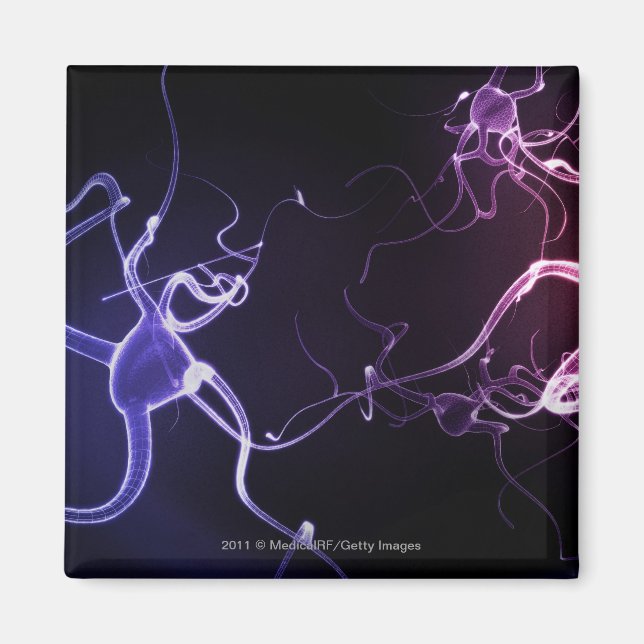 Imã Representação colorida de neurônios (Frente)