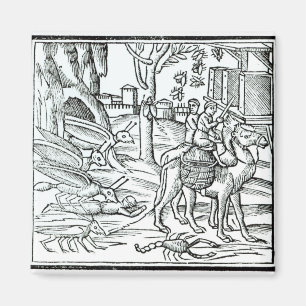 Imã Representação do praga, 1572