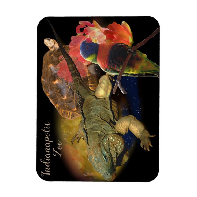 Ímã Répteis e Aves do Zoológico de Indianápolis (Vertical)