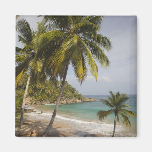 Imã República Dominicana, Costa Norte, Abreu, Praia