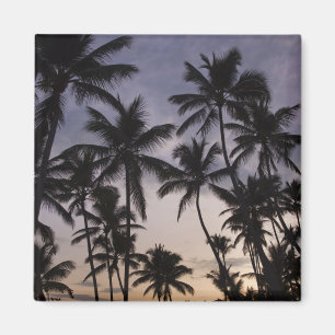 Imã República Dominicana, Península de Samana, Las 2