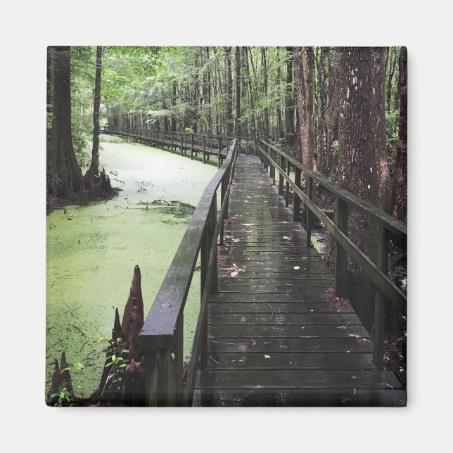 Imã reserva costeira de santeve (Frente)