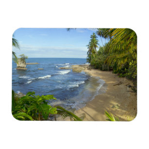 Ímã Reserva natural de Costa Rica, Manzanillo