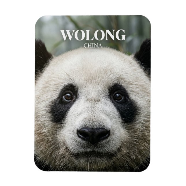 Ímã Reserva Natural Nacional de Wolong China (Vertical)
