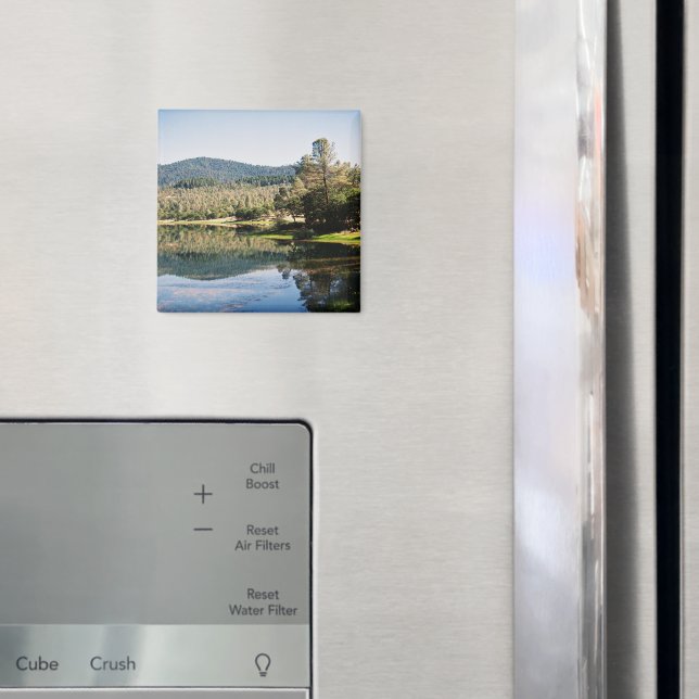 Imã Reservatório Ewing.... (In Situ (Fridge))