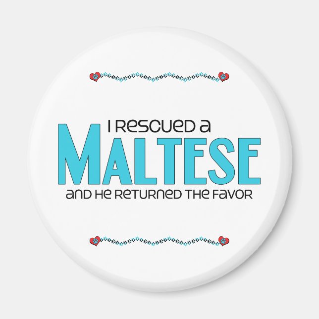 Imã Resgatei um maltês (Cachorro masculino) (Frente)