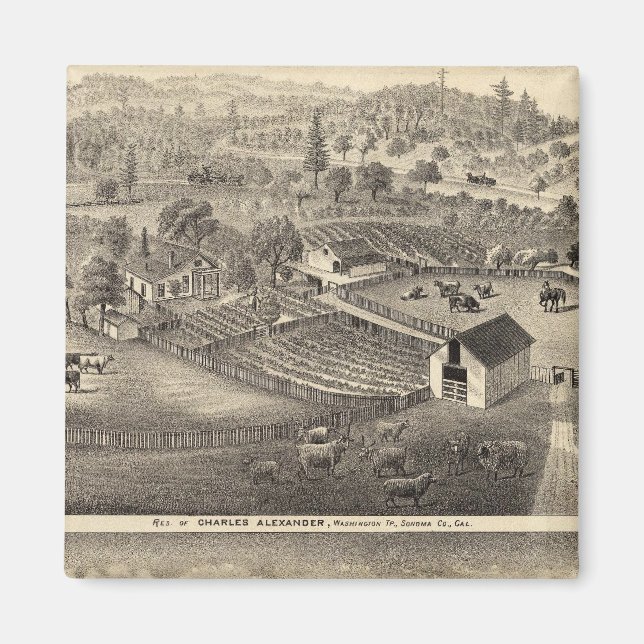 Imã Residências de Charles Alexander (Frente)