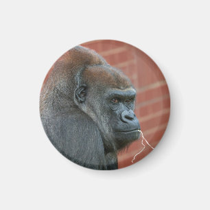 Imã Resilient Gorilla Mãe