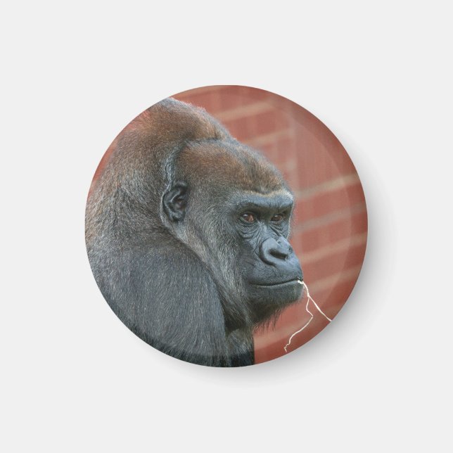 Imã Resilient Gorilla Mãe (Frente)