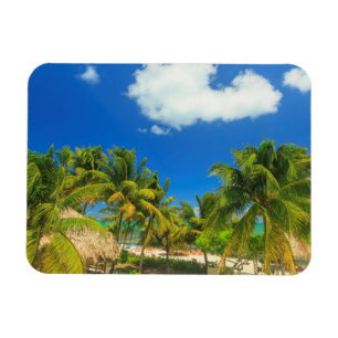 Ímã Resort de praia tropical, Belize