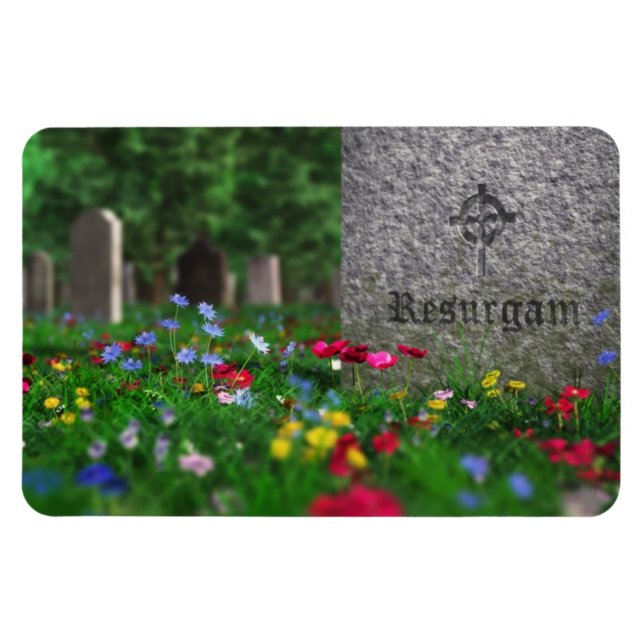 Ímã Ressurgir Magnet Flexível (Horizontal)