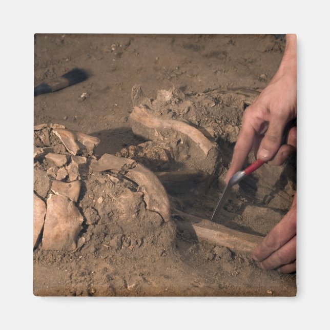 Imã Restos humanos (Frente)